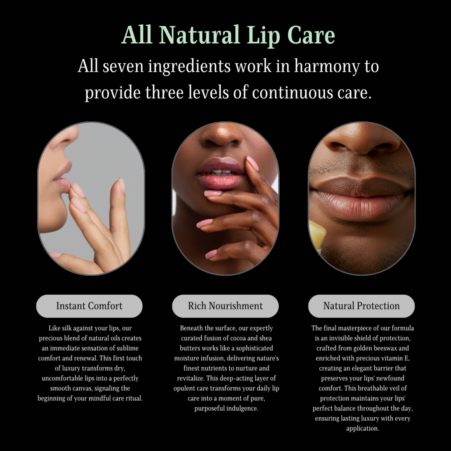 Complete Collection | All 6 Flavors Sampler Pack