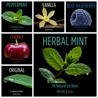 Complete Collection | All 6 Flavors Sampler Pack